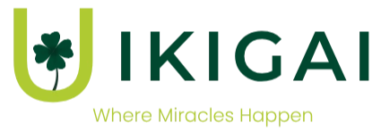 IKIGAI Traveler — Where Miracles Happen